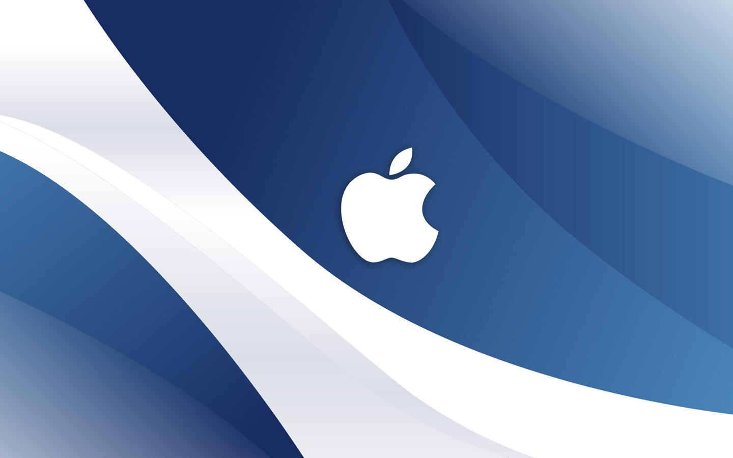 safari